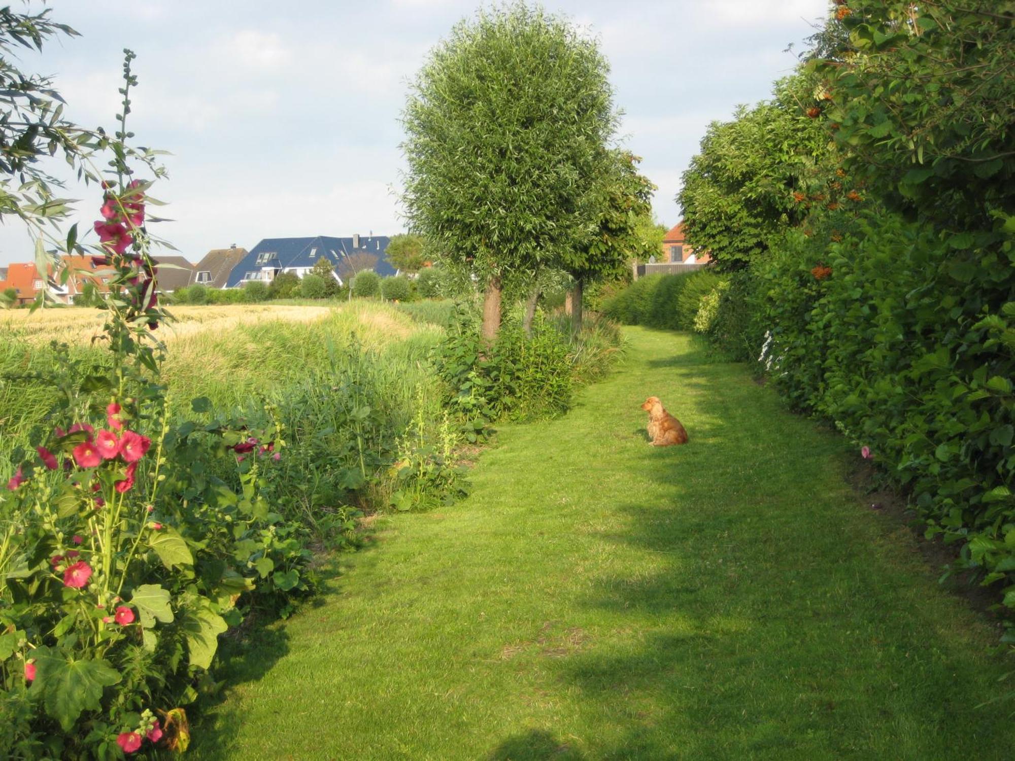 Appartamento Haus Pistorius Büsum Esterno foto